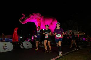 BIB: 
                            <button type="button" onclick="openModal(26543782)" class="btn btn-primary btn-sm float-right btn-popup" data-toggle="modal" data-target=".modal-high-quality">
                        <i class="fas fa-shopping-cart"></i> Add to Cart
                    </button>
                                            <button type="button" onclick="isThisMe(26543782, true)" class="btn btn-success btn-sm float-right btn-popup btn-isme hidden" data-toggle="tooltip" data-placement="bottom" title="นี่คือรูปของคุณใช่ไหม คลิกที่นี่เพื่อเอาเข้าอัลบั้ม">
                        <i class="fas fa-plus"></i> Add to album
                    </button>
                    <button type="button" onclick="isThisMe(26543782, false)" class="btn btn-warning btn-sm float-right btn-popup btn-isnotme hidden">
                        <i class="fas fa-ban"></i> Remove from album
                    </button>